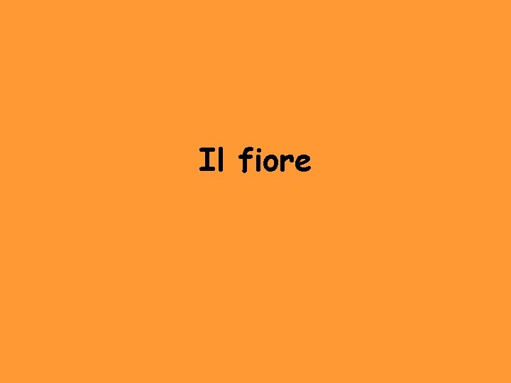 Il fiore 