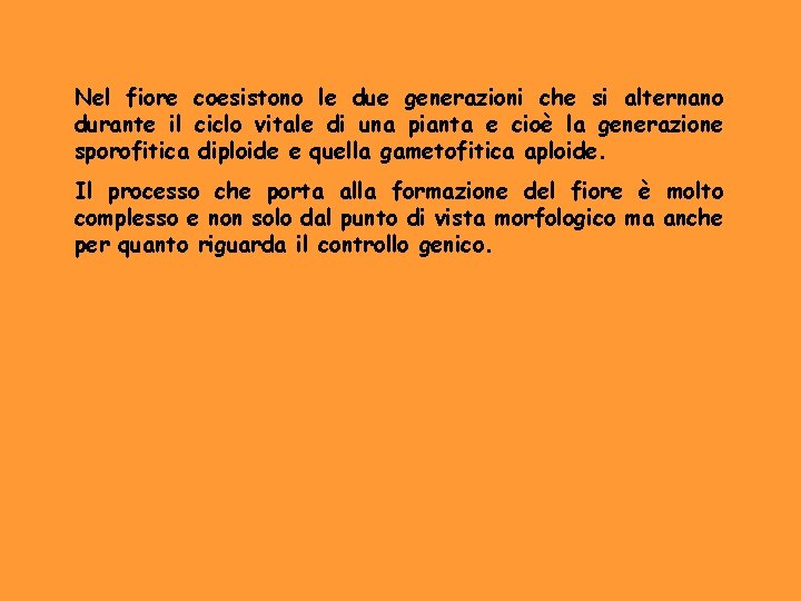 Nel fiore coesistono le due generazioni che si alternano durante il ciclo vitale di