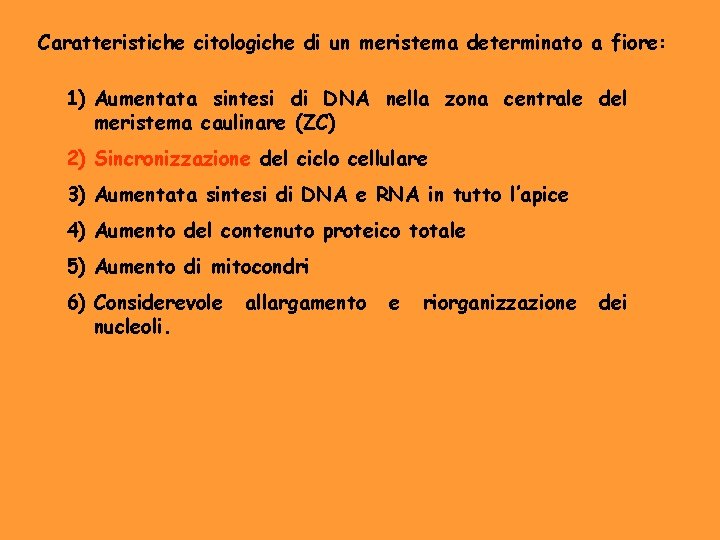 Caratteristiche citologiche di un meristema determinato a fiore: 1) Aumentata sintesi di DNA nella