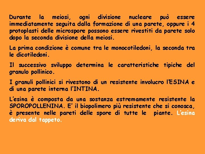 Durante la meiosi, ogni divisione nucleare può essere immediatamente seguita dalla formazione di una