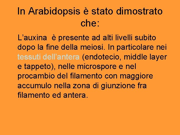 In Arabidopsis è stato dimostrato che: L’auxina è presente ad alti livelli subito dopo