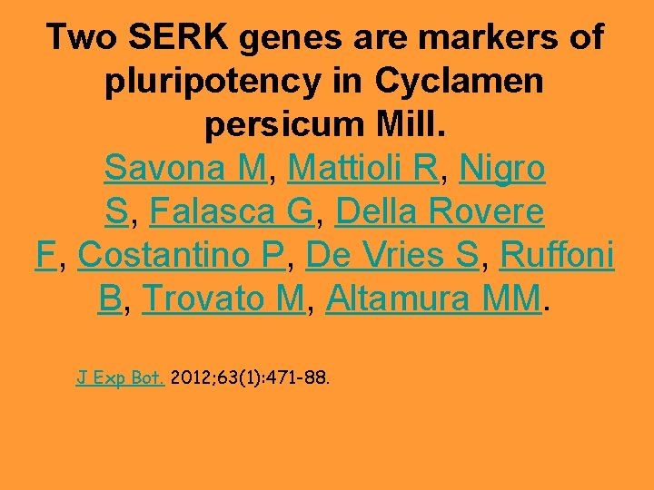 Two SERK genes are markers of pluripotency in Cyclamen persicum Mill. Savona M, Mattioli