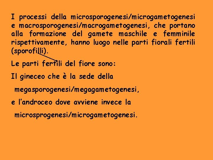 I processi della microsporogenesi/microgametogenesi e macrosporogenesi/macrogametogenesi, che portano alla formazione del gamete maschile e