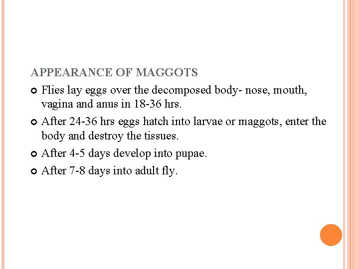 APPEARANCE OF MAGGOTS Flies lay eggs over the decomposed body- nose, mouth, vagina and