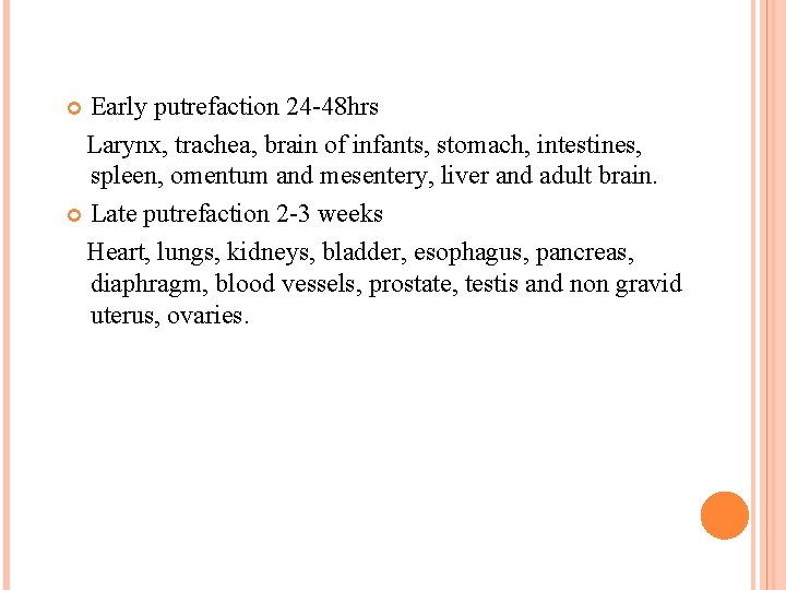 Early putrefaction 24 -48 hrs Larynx, trachea, brain of infants, stomach, intestines, spleen, omentum