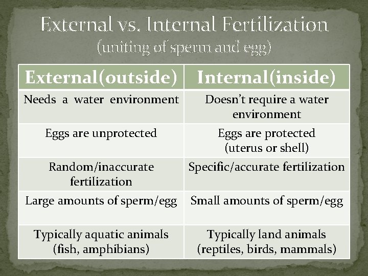 External vs. Internal Fertilization (uniting of sperm and egg) External(outside) Internal(inside) Needs a water