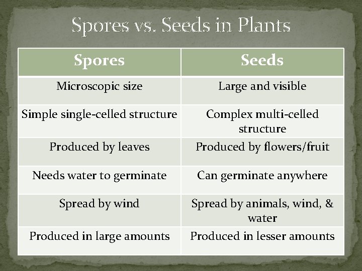 Spores vs. Seeds in Plants Spores Seeds Microscopic size Large and visible Simple single-celled