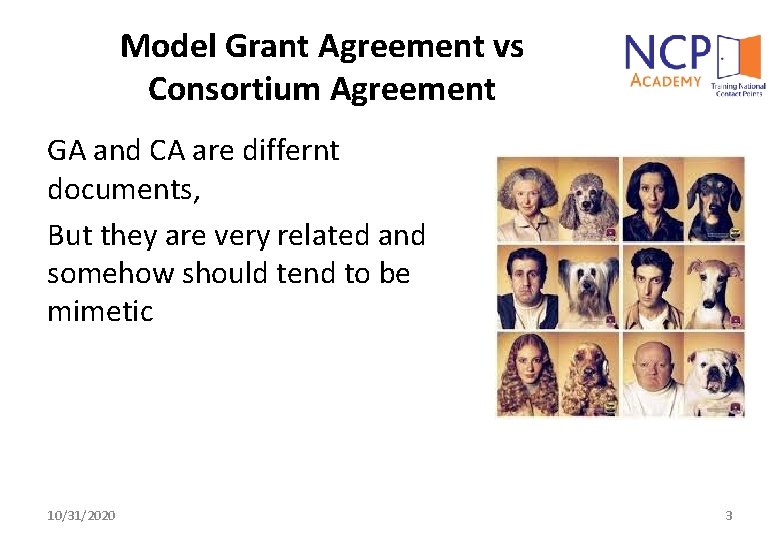 Model Grant Agreement vs Consortium Agreement GA and CA are differnt documents, But they