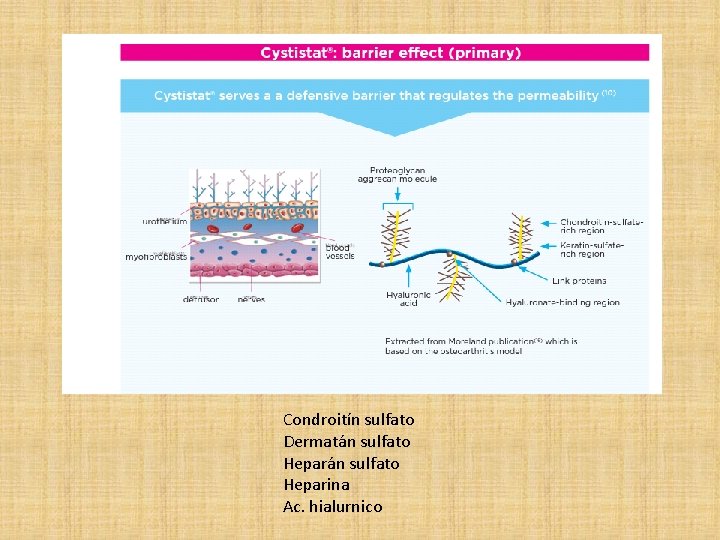 Condroitín sulfato Dermatán sulfato Heparina Ac. hialurnico 