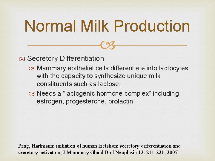 Normal Milk Production Secretory Differentiation Mammary epithelial cells differentiate into lactocytes with the capacity