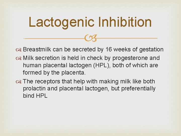 Lactogenic Inhibition Breastmilk can be secreted by 16 weeks of gestation Milk secretion is
