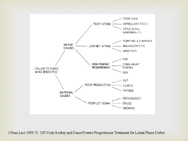 J Hum Lact 1999 15: 339 Vicki Bodley and Diane Powers Progesterone Treatment for