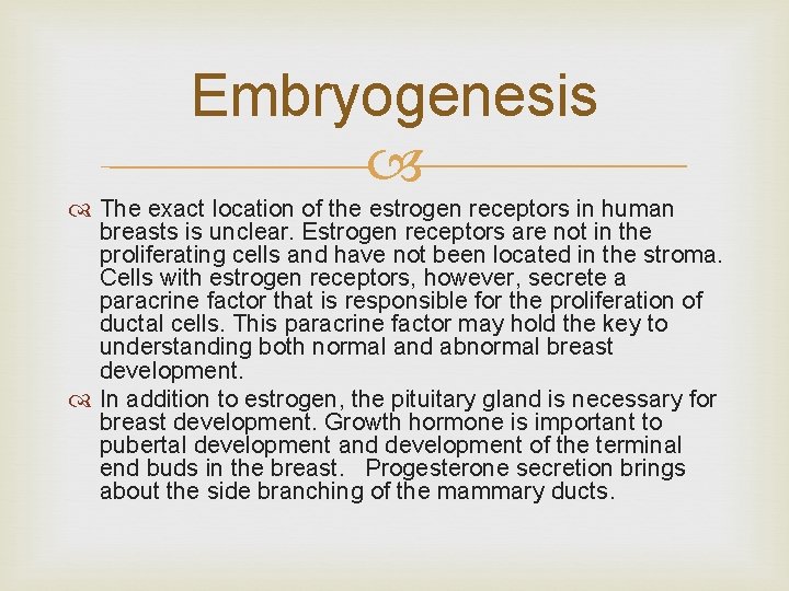 Embryogenesis The exact location of the estrogen receptors in human breasts is unclear. Estrogen