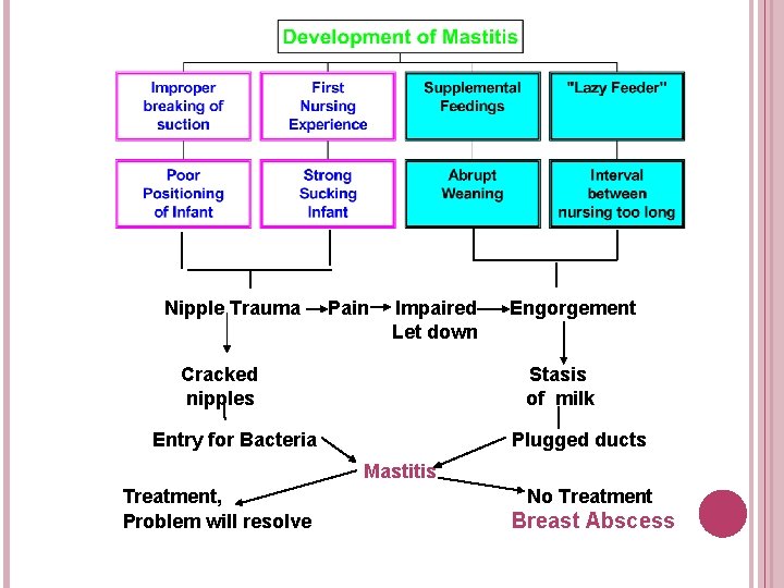 Nipple Trauma Pain Impaired Let down Cracked nipples Engorgement Stasis of milk Entry for Nipple Trauma Pain Impaired Let down Cracked nipples Engorgement Stasis of milk Entry for