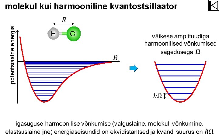 molekul kui harmooniline kvantostsillaator potentsiaalne energia H Cl 