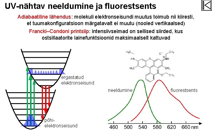 UV-nähtav neeldumine ja fluorestsents Adiabaatiline lähendus: molekuli elektronseisundi muutus toimub nii kiiresti, et tuumakonfiguratsioon