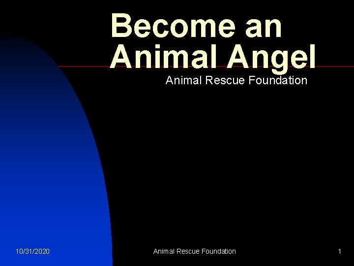 Become an Animal Angel Animal Rescue Foundation 10/31/2020 Animal Rescue Foundation 1 