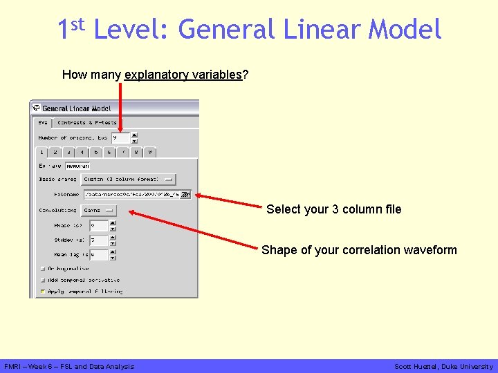 1 st Level: General Linear Model How many explanatory variables? Select your 3 column
