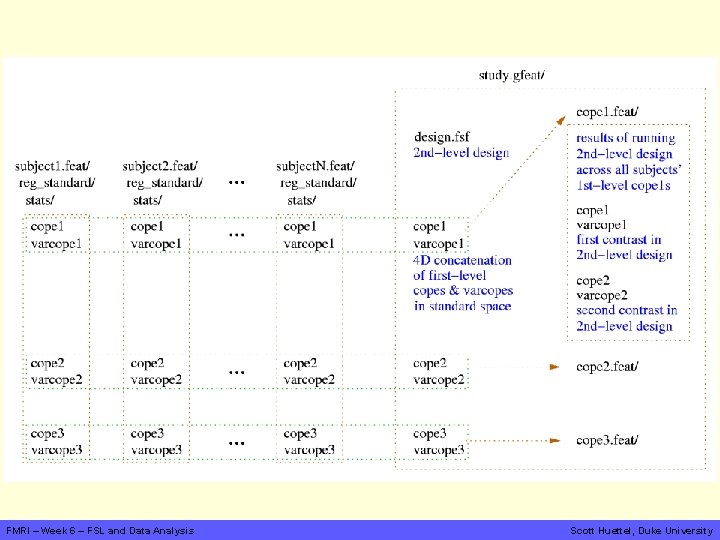 FMRI – Week 6 – FSL and Data Analysis Scott Huettel, Duke University 