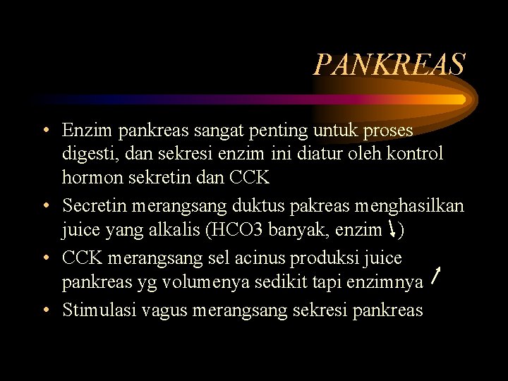 PANKREAS • Enzim pankreas sangat penting untuk proses digesti, dan sekresi enzim ini diatur