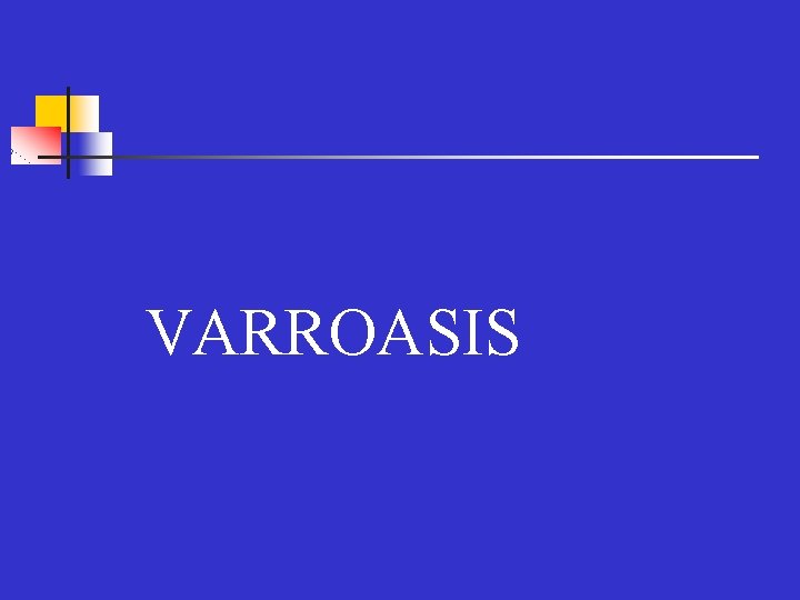 VARROASIS 