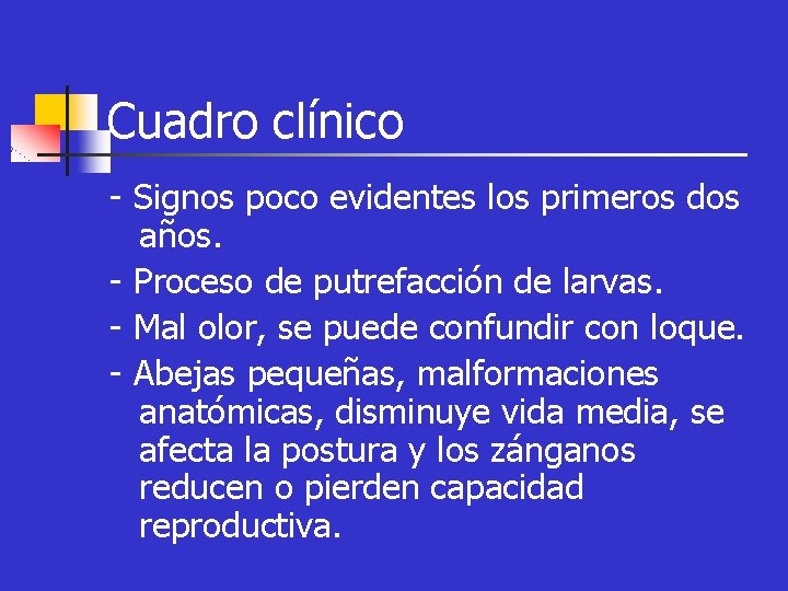 Cuadro clínico - Signos poco evidentes los primeros dos años. - Proceso de putrefacción