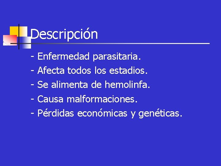 Descripción - Enfermedad parasitaria. Afecta todos los estadios. Se alimenta de hemolinfa. Causa malformaciones.