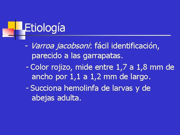 Etiología - Varroa jacobsoni: fácil identificación, parecido a las garrapatas. - Color rojizo, mide