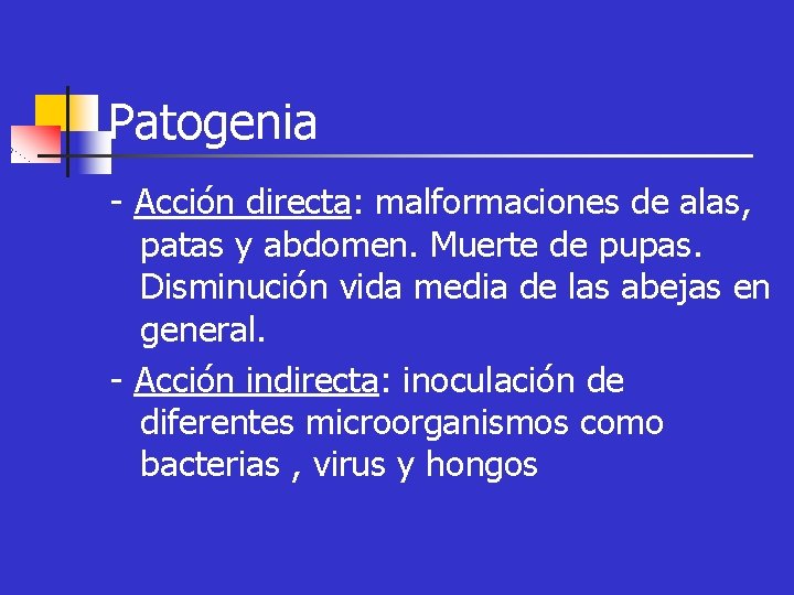 Patogenia - Acción directa: malformaciones de alas, patas y abdomen. Muerte de pupas. Disminución