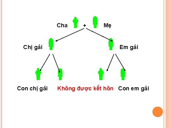 Cha + Mẹ Chị gái Con chị gái Em gái Không được kết hôn Cha + Mẹ Chị gái Con chị gái Em gái Không được kết hôn