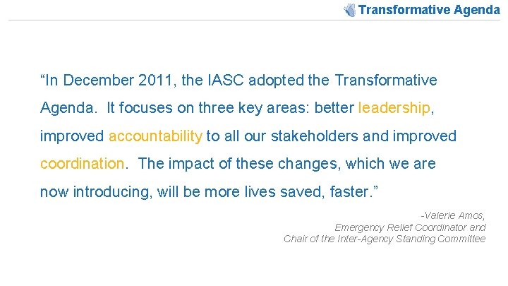 Transformative Agenda “In December 2011, the IASC adopted the Transformative Agenda. It focuses on