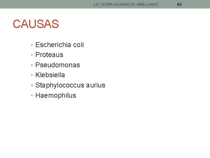 LIC. NORA HUARACHI ARELLANO CAUSAS • Escherichia coli • Proteaus • Pseudomonas • Klebsiella