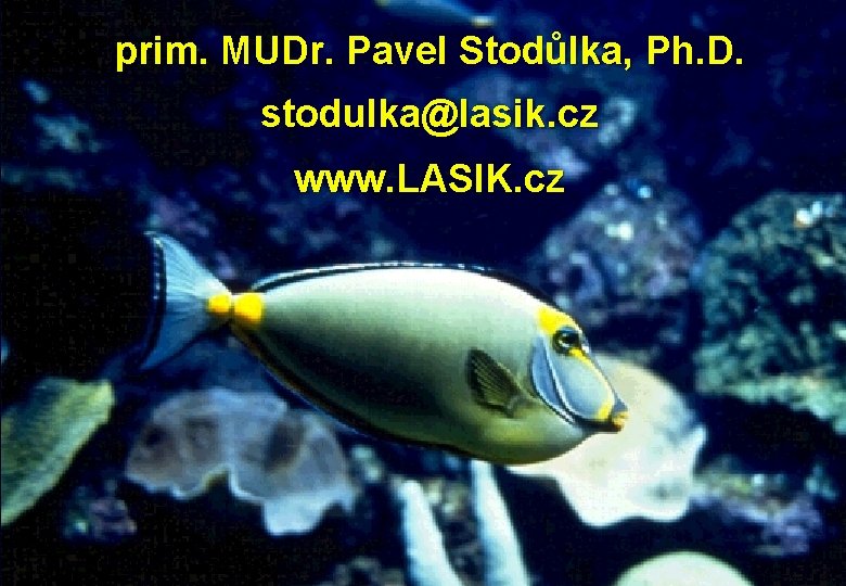 prim. MUDr. Pavel Stodůlka, Ph. D. stodulka@lasik. cz www. LASIK. cz 