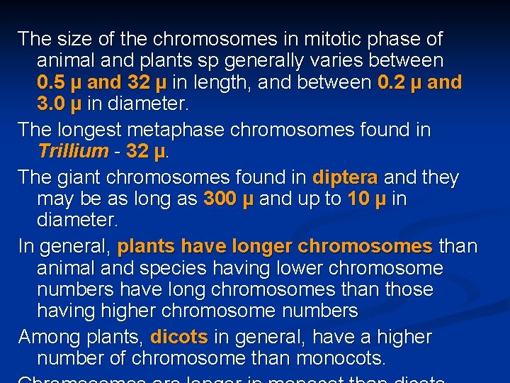 The size of the chromosomes in mitotic phase of animal and plants sp generally