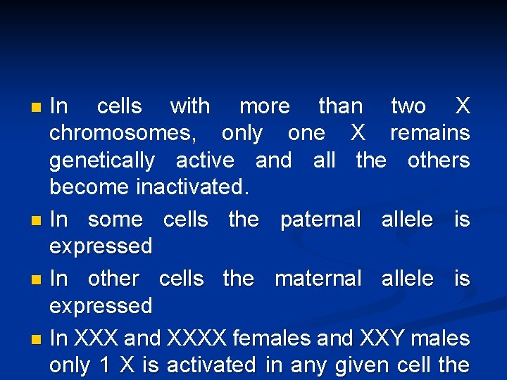 In cells with more than two X chromosomes, only one X remains genetically active