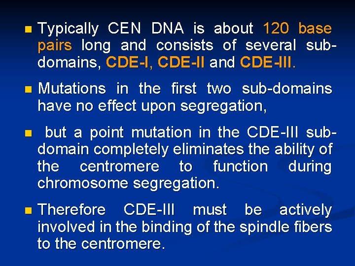 n Typically CEN DNA is about 120 base pairs long and consists of several