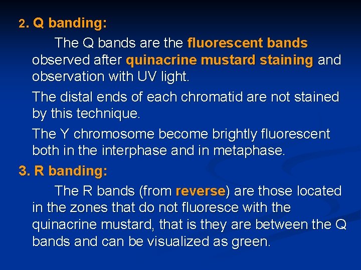 2. Q banding: The Q bands are the fluorescent bands observed after quinacrine mustard