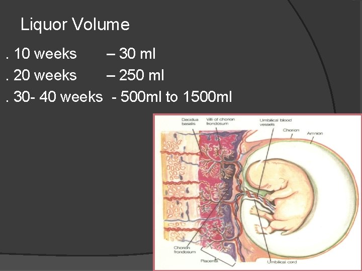 Liquor Volume. 10 weeks – 30 ml. 20 weeks – 250 ml. 30 - Liquor Volume. 10 weeks – 30 ml. 20 weeks – 250 ml. 30 -