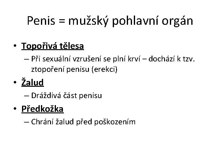 Penis = mužský pohlavní orgán • Topořivá tělesa – Při sexuální vzrušení se plní