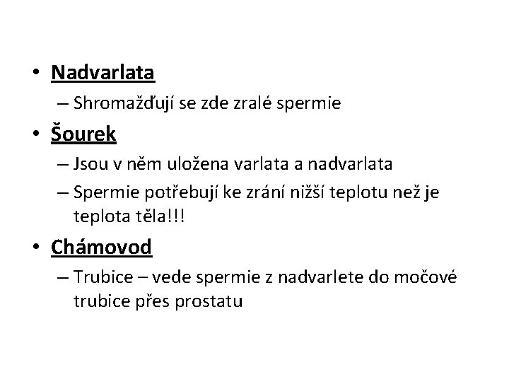  • Nadvarlata – Shromažďují se zde zralé spermie • Šourek – Jsou v