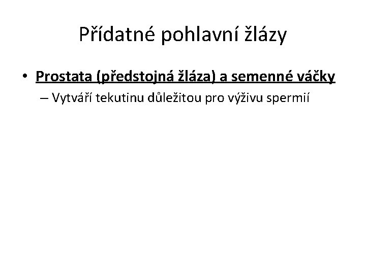 Přídatné pohlavní žlázy • Prostata (předstojná žláza) a semenné váčky – Vytváří tekutinu důležitou