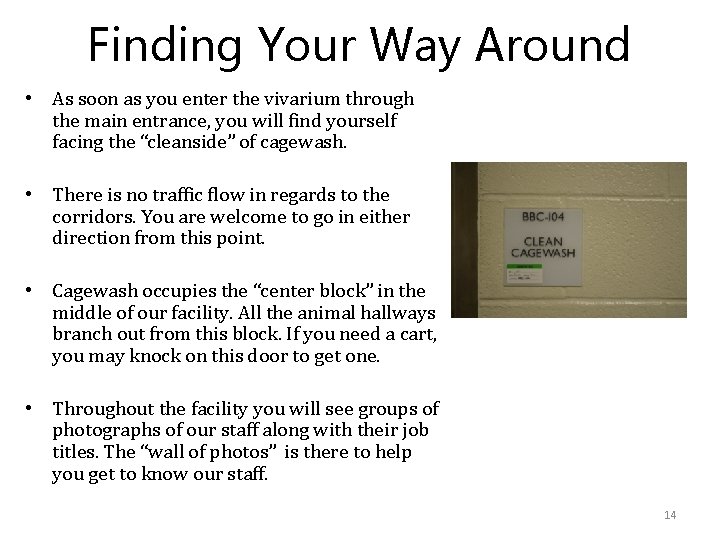 Finding Your Way Around • As soon as you enter the vivarium through the