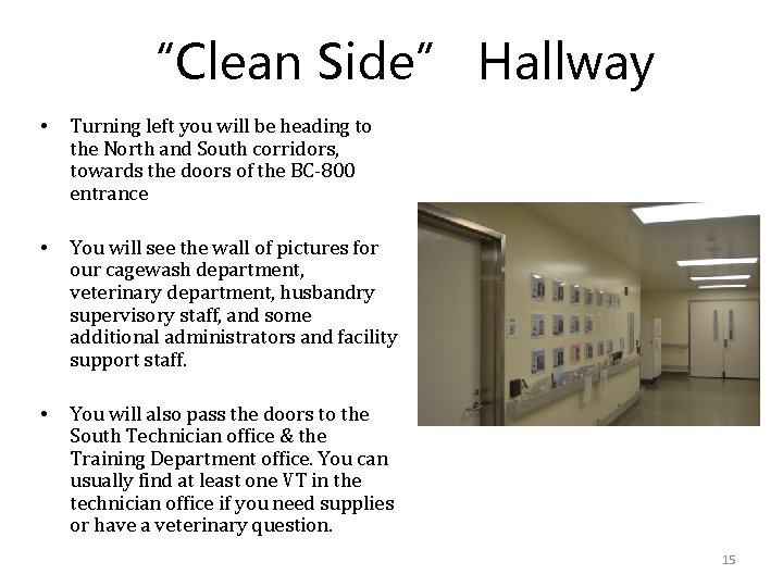 “Clean Side” Hallway • Turning left you will be heading to the North and