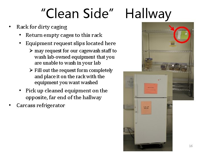 “Clean Side” Hallway • Rack for dirty caging • Return empty cages to this