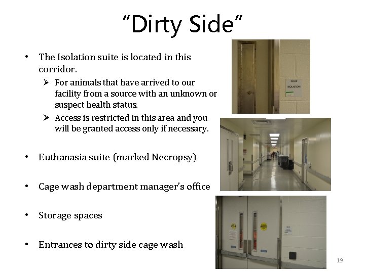 “Dirty Side” • The Isolation suite is located in this corridor. Ø For animals