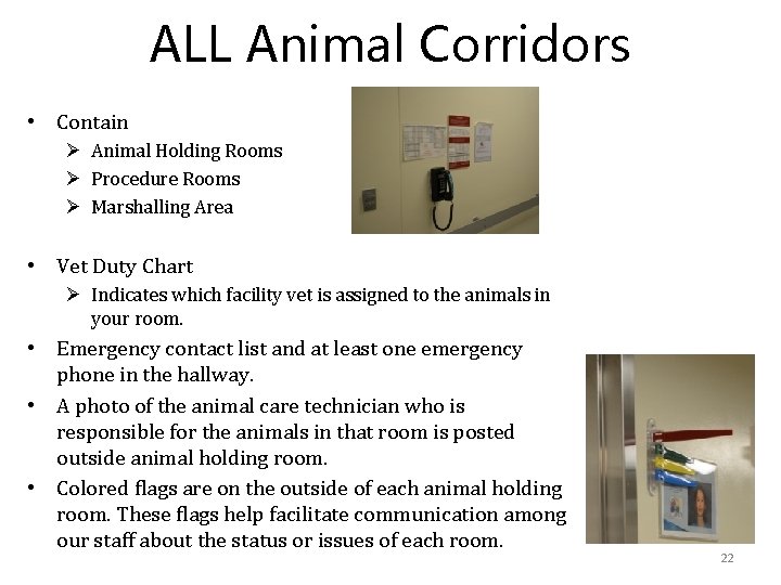 ALL Animal Corridors • Contain Ø Animal Holding Rooms Ø Procedure Rooms Ø Marshalling