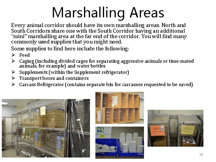 Marshalling Areas Every animal corridor should have its own marshalling areas. North and South