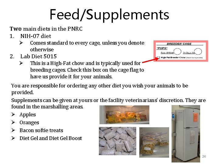 Feed/Supplements Two main diets in the PNRC 1. NIH-07 diet Ø Comes standard to