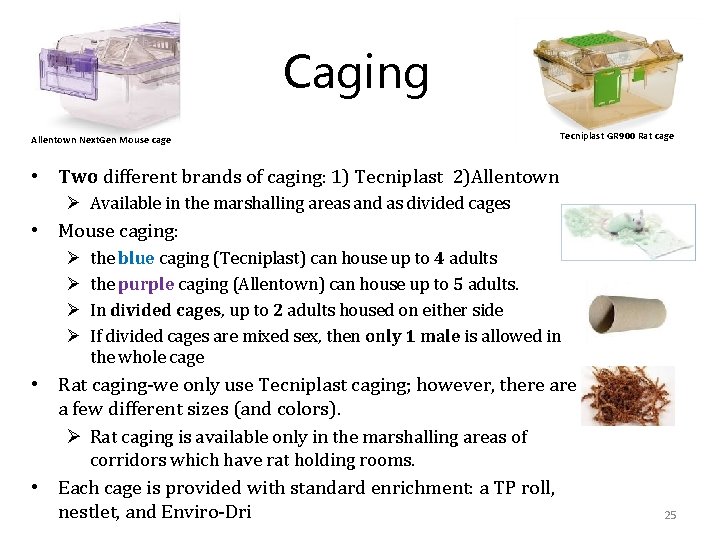 Caging Allentown Next. Gen Mouse cage Tecniplast GR 900 Rat cage • Two different