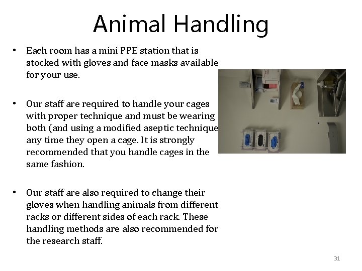 Animal Handling • Each room has a mini PPE station that is stocked with